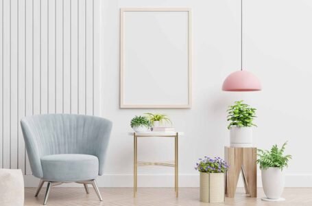 แนะนำต้นไม้มงคล ปลูกในบ้านก็ได้ ตกแต่งบ้านก็ดี