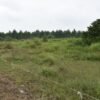 ที่ดินราชบุรี