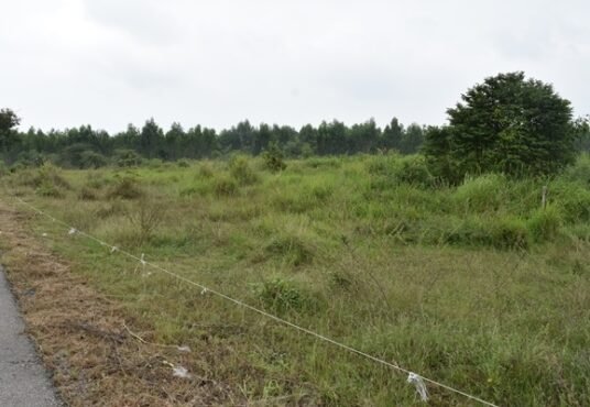 ที่ดินราชบุรี