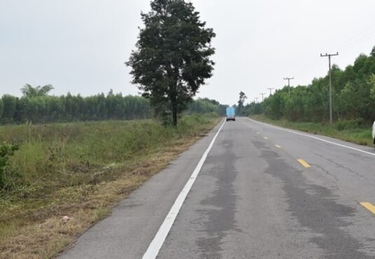 ที่ดินราชบุรี