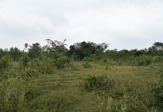 ที่ดินราชบุรี