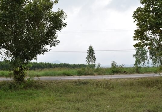 ที่ดินราชบุรี