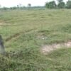 ที่ดินราชบุรี