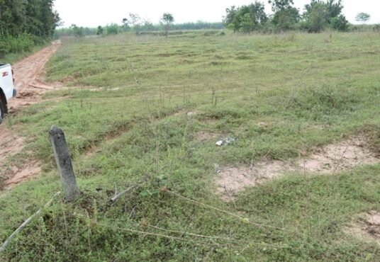 ที่ดินราชบุรี