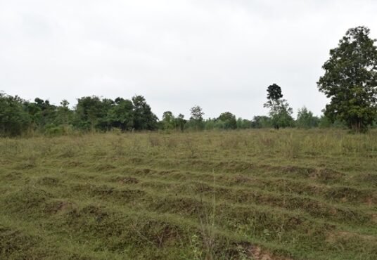 ที่ดินราชบุรี