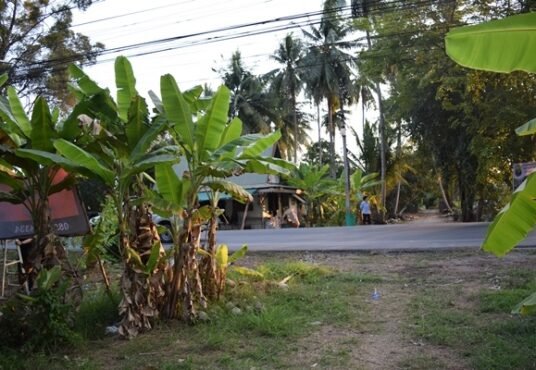 ที่ดินอัมพวา