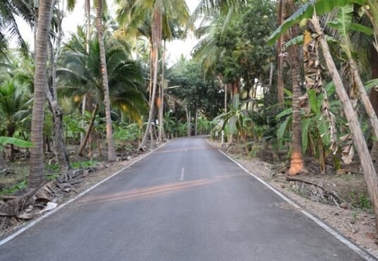 ที่ดินอัมพวา