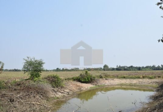 ที่ดินราชบุรี
