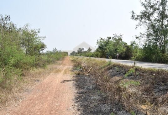 ที่ดินราชบุรี